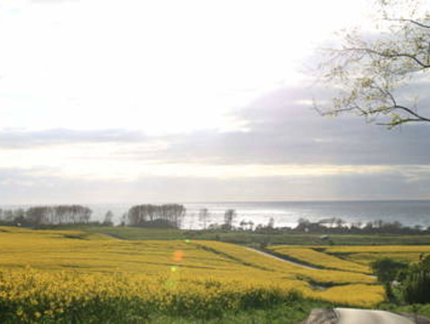 Der Ostseeküsten Radweg