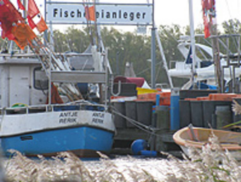 Fischlokal Steilküste